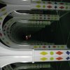 img_6509