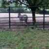 IMG_20160601_101003